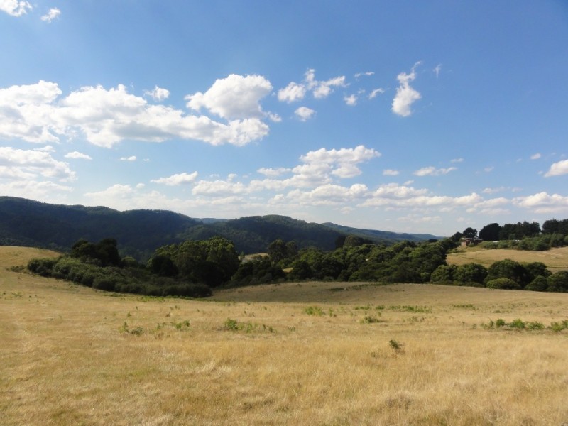 125 Mt Best Tin Mine rd, Mount Best VIC 3960