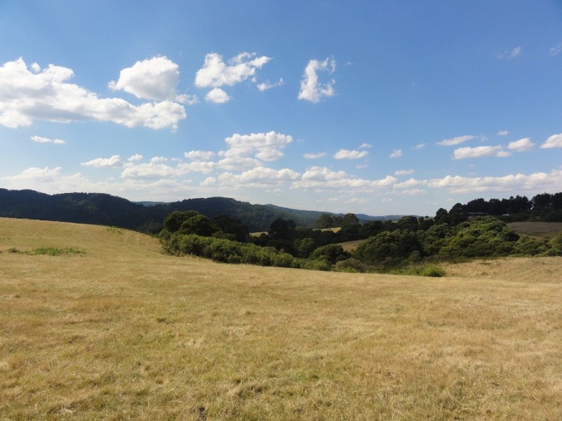 125 Mt Best Tin Mine rd, Mount Best VIC 3960