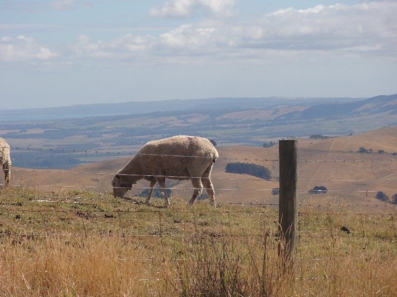 125 Mt Best Tin Mine rd, Foster VIC 3960
