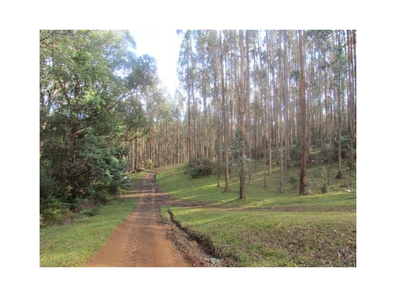 Lot 2 Loch Valley Rd, Noojee VIC 3833