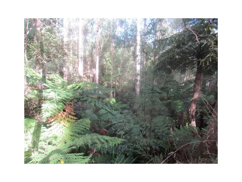 Lot 2 Loch Valley Rd, Noojee VIC 3833