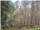 Lot 2 Loch Valley Rd, Noojee VIC 3833