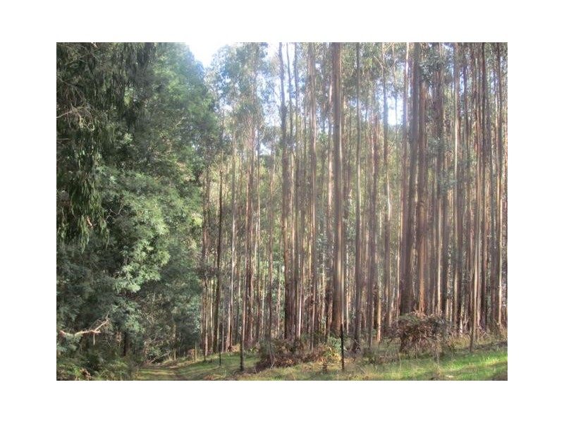 Lot 2 Loch Valley Rd, Noojee VIC 3833