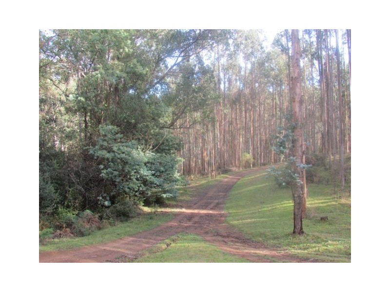 Lot 2 Loch Valley Rd, Noojee VIC 3833