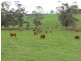 195 Sheffield Road, Neerim South VIC 3831