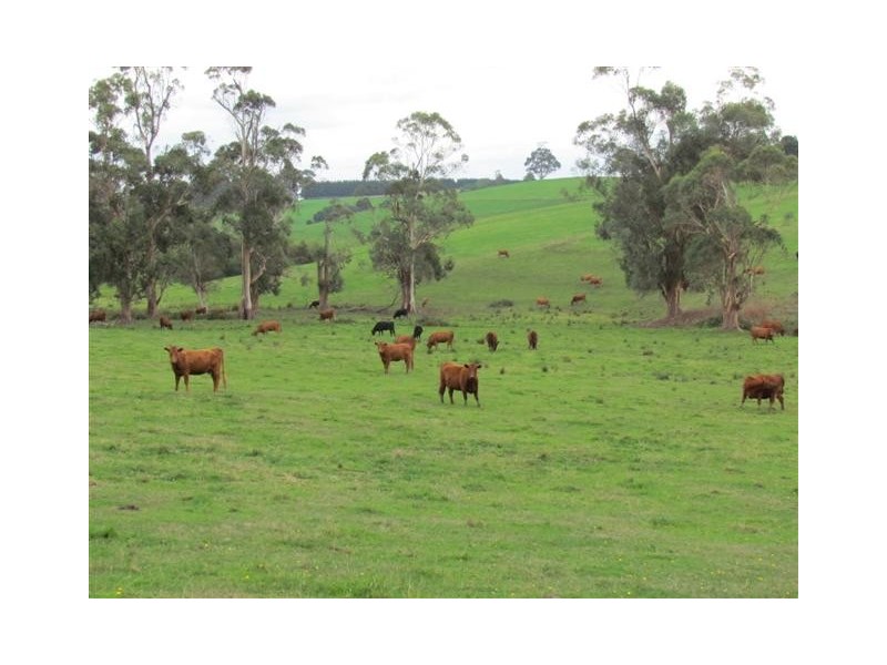 195 Sheffield Road, Neerim South VIC 3831