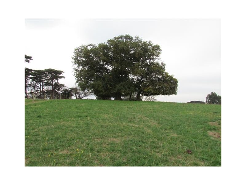 195 Sheffield Road, Neerim South VIC 3831
