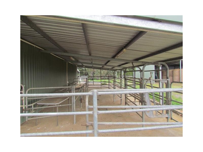 195 Sheffield Road, Neerim South VIC 3831