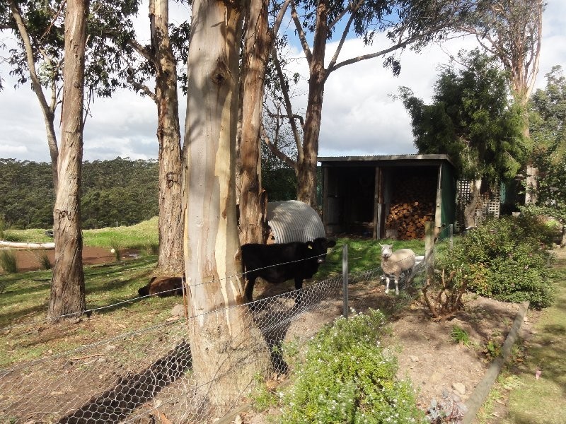 183 Harraps Rd, Binginwarri VIC 3966