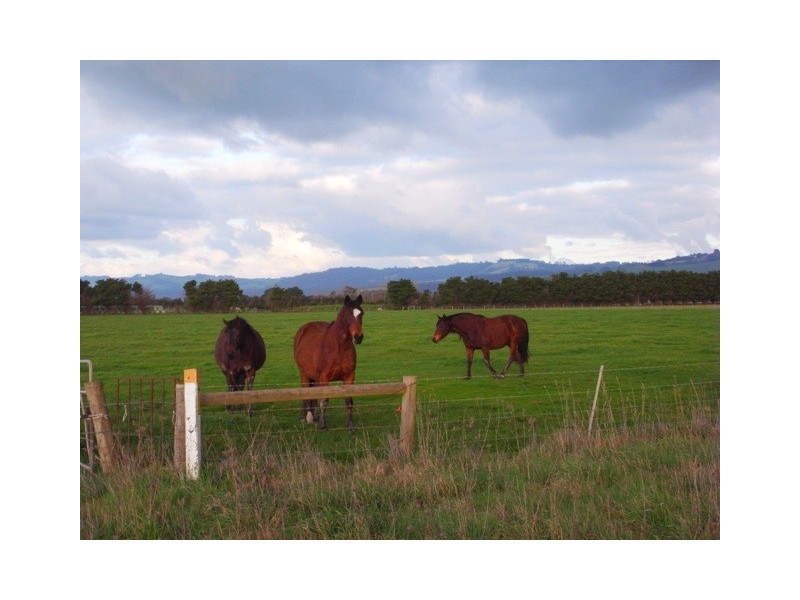 10 Reserve Road, Yarragon VIC 3823