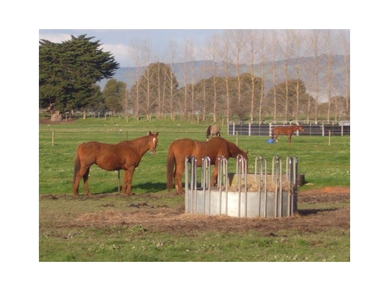 10 Reserve Road, Yarragon VIC 3823