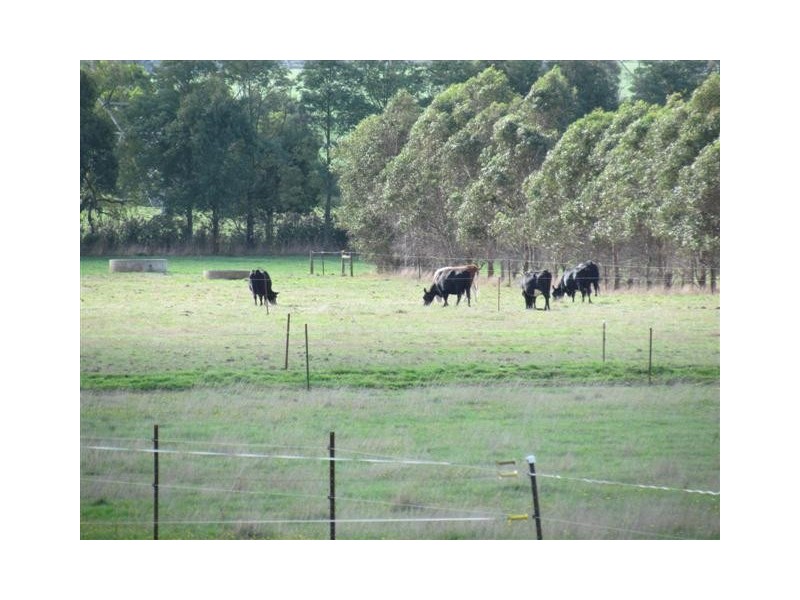 10 Reserve Road, Yarragon VIC 3823