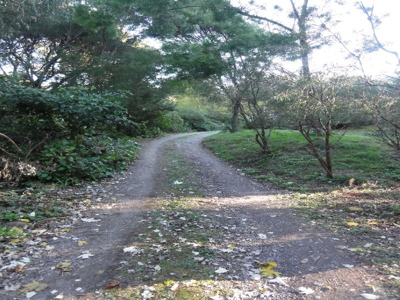 45 McGleads Rd, Foster VIC 3960