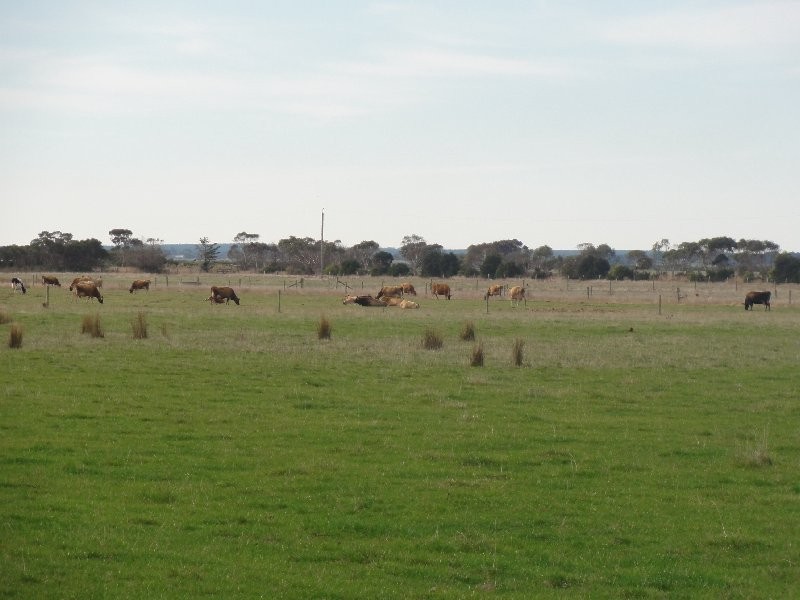 7c TiTree Rd, Hedley VIC 3967