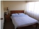 Buffalo VIC 3958