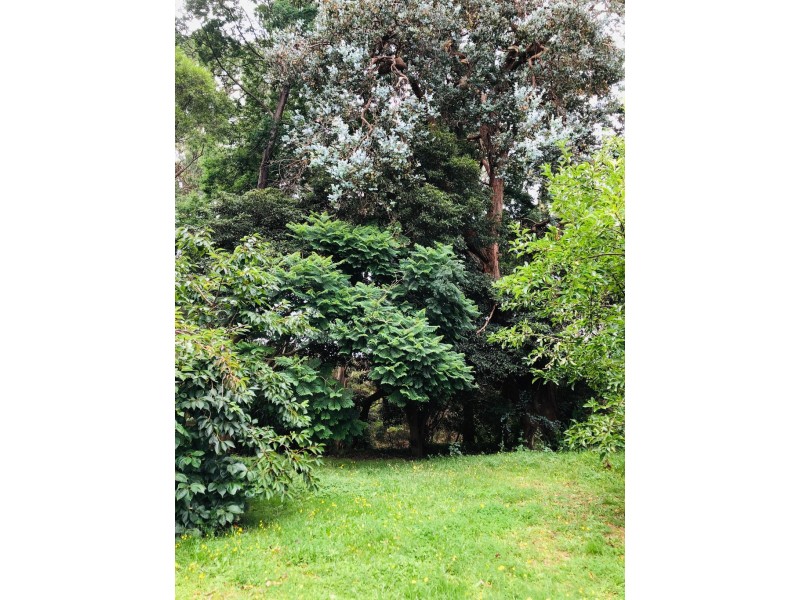 39 Pioneer St, Foster VIC 3960