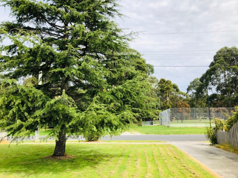 39 Pioneer St, Foster VIC 3960