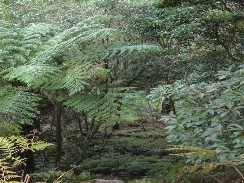 45 McGleads Rd, Foster VIC 3960