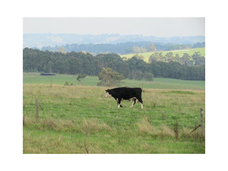 315 Gardner and Holman Road, Drouin VIC 3818