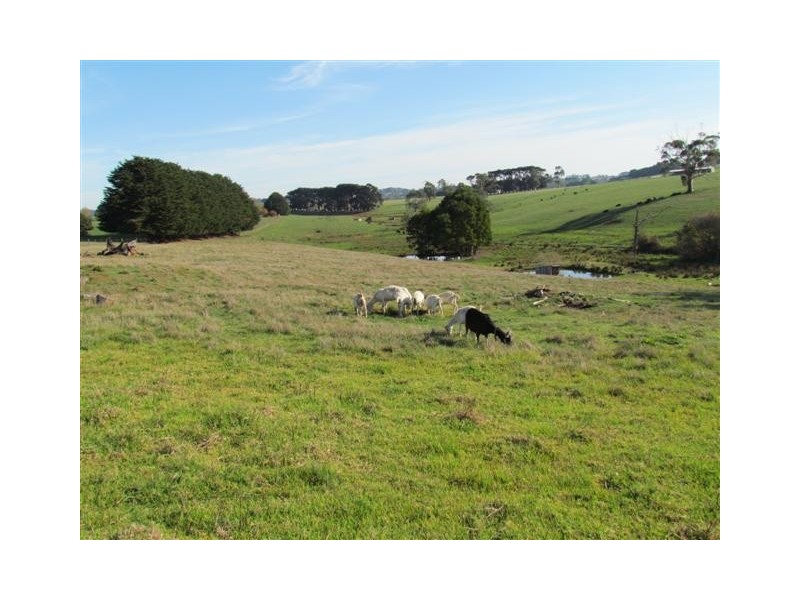 400 Bull Swamp Rd, Bona Vista VIC 3820