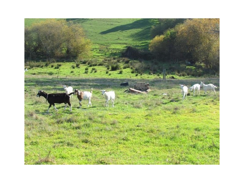 400 Bull Swamp Rd, Bona Vista VIC 3820