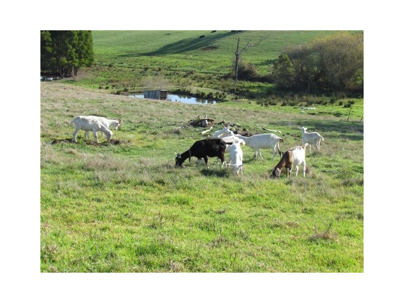 400 Bull Swamp Rd, Bona Vista VIC 3820