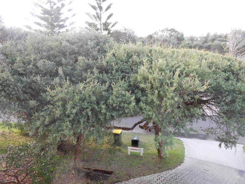 58 The Boulevard, Sandy Point VIC 3959