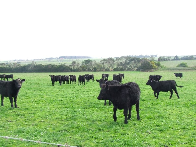 90 Duncans Road, Inverloch VIC 3996