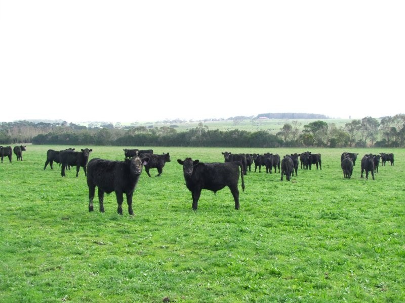 90 Duncans Road, Inverloch VIC 3996