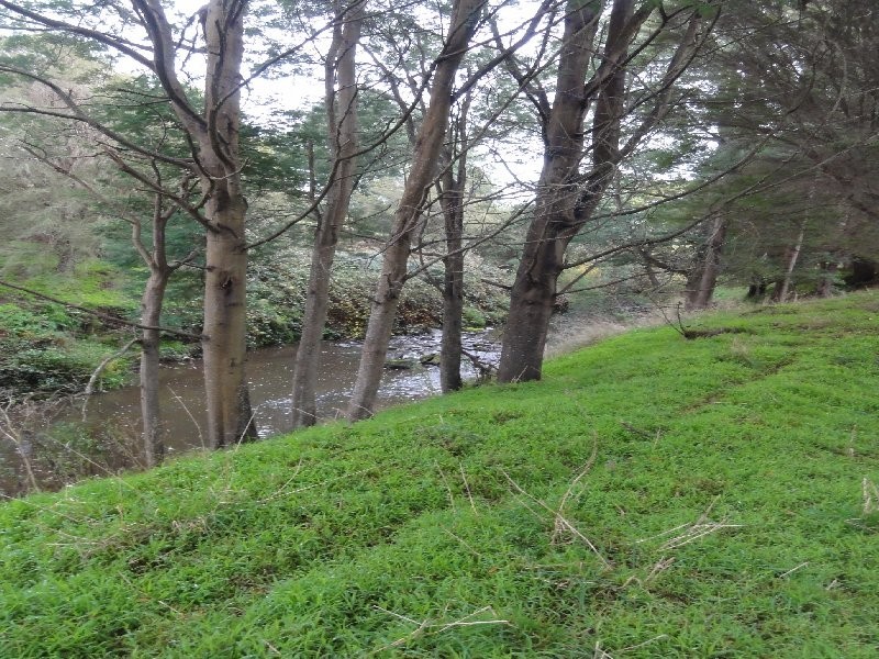 380 Franklin River Rd, Toora VIC 3962