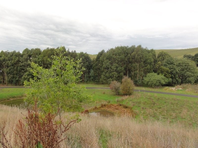 380 Franklin River Rd, Toora VIC 3962