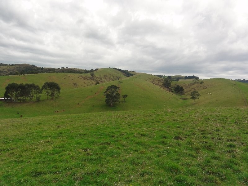 380 Franklin River Rd, Toora VIC 3962