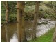 380 Franklin River Rd, Toora VIC 3962