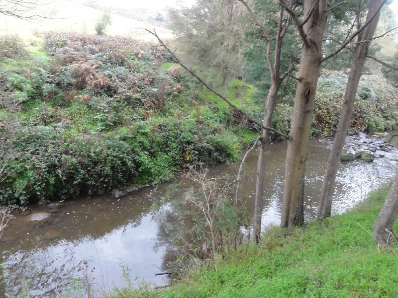 380 Franklin River Rd, Toora VIC 3962