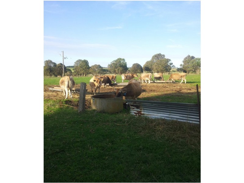 140 Phiddians Road, Bairnsdale VIC 3875