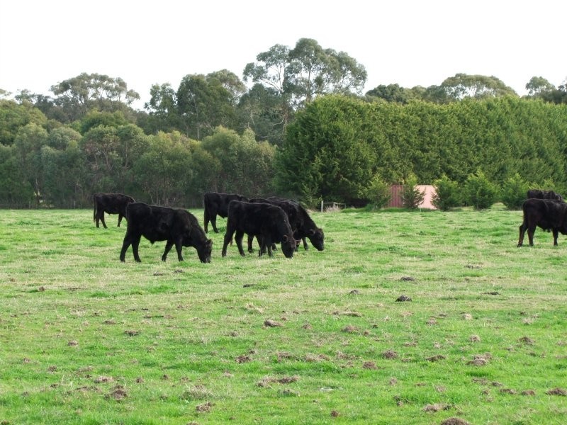 805 Koonwarra Inverloch Road, Leongatha South VIC 3953