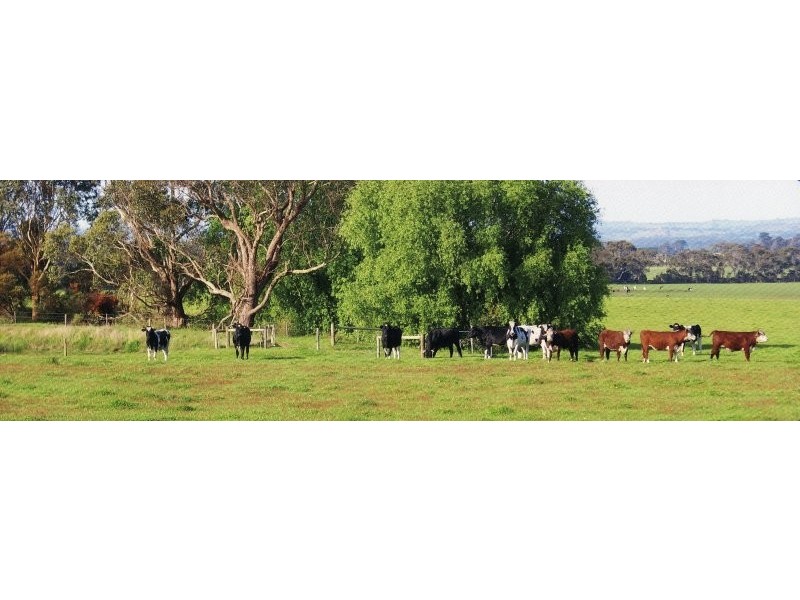 805 Koonwarra Inverloch Road, Leongatha South VIC 3953