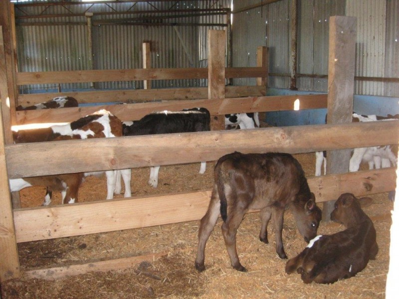 985 Ameys Track, Foster North VIC 3960