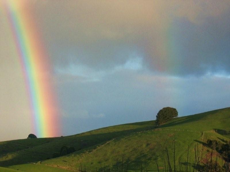 985 Ameys Track, Foster North VIC 3960