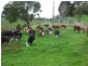 985 Ameys Track, Foster VIC 3960