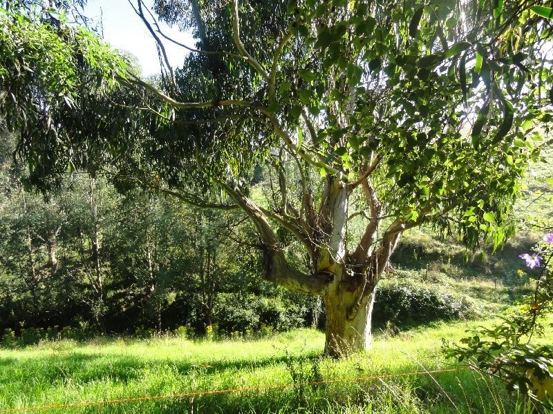 110 Creamery Valley Rd, Toora VIC 3962