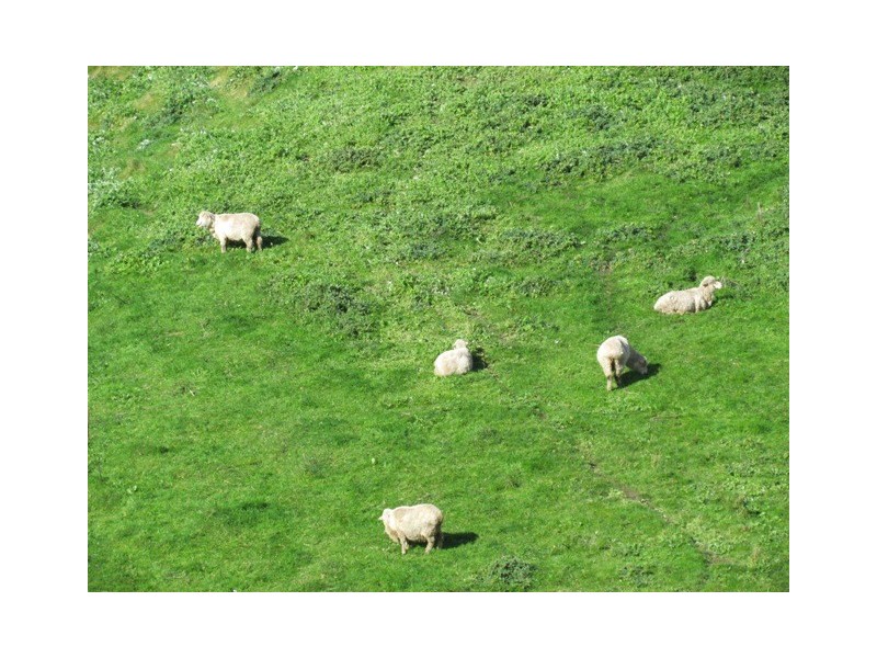 1081 Darnum Allambee, Cloverlea VIC 3822