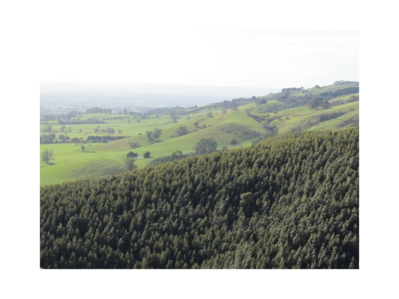 1081 Darnum Allambee, Cloverlea VIC 3822