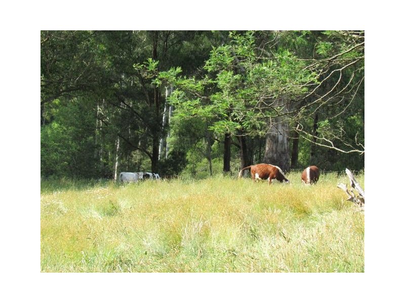 150 Loch Valley, Noojee VIC 3833