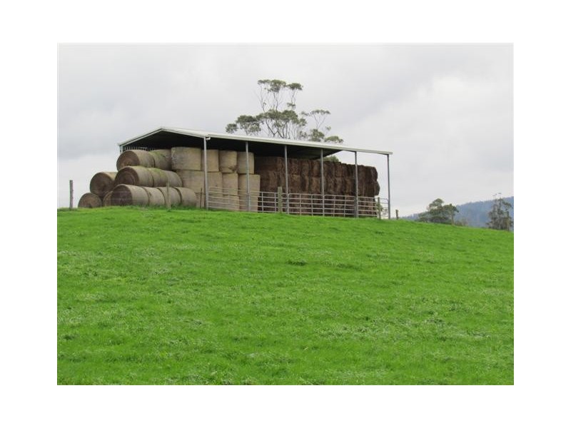 438 West Jindivick Road, Jindivick VIC 3818