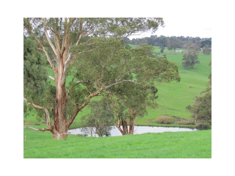 438 West Jindivick Road, Jindivick VIC 3818