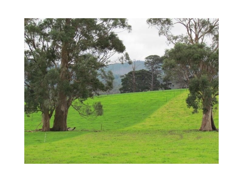 438 West Jindivick Road, Jindivick VIC 3818