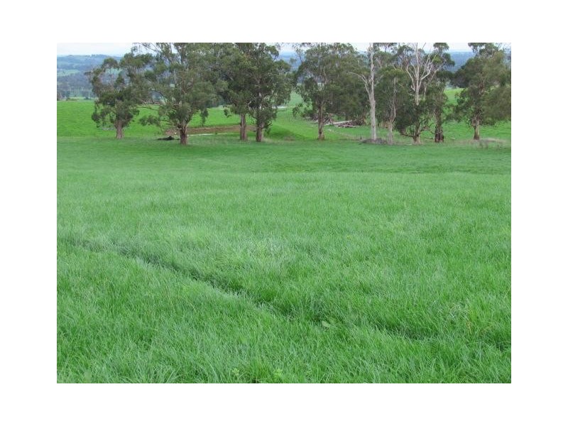 438 West Jindivick Road, Jindivick VIC 3818