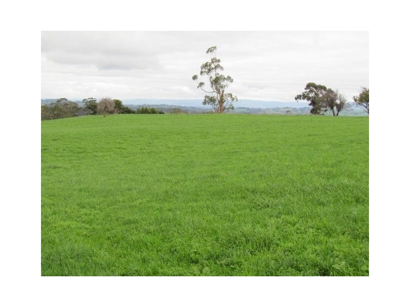 438 West Jindivick Road, Jindivick VIC 3818