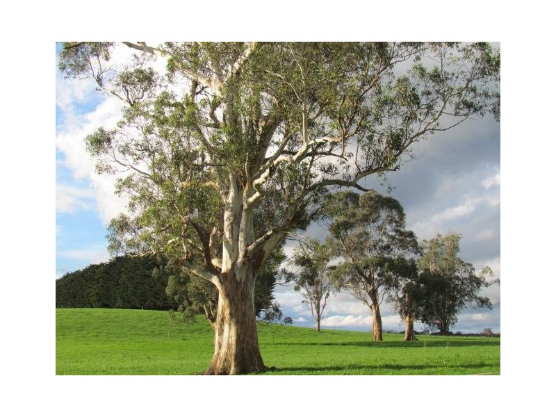 438 West Jindivick Road, Jindivick VIC 3818